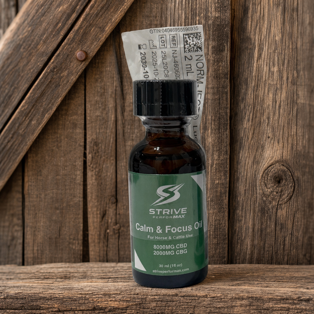 Calm & Focus Oil