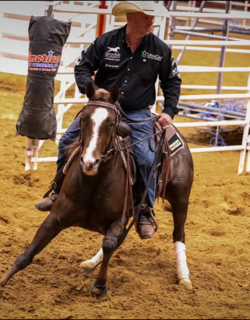 Premium Muscle Boost Gel – The Power of Muscle Boost Gel for Equine Well-being